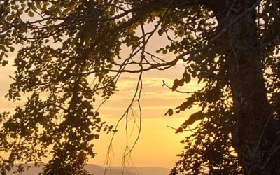 Cognac-Cahors