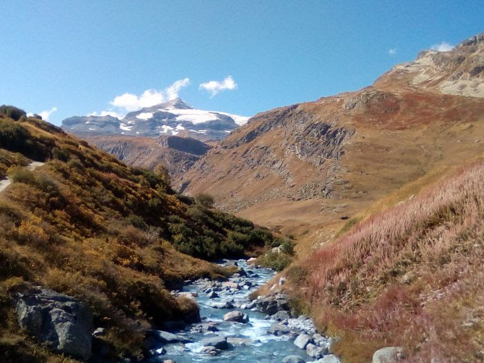 Explorer les Alpes en vélo et en train